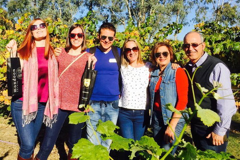 Wine Tasting Day Trip And Swan Valley River Cruise To Perth - Accommodation Noosa 2