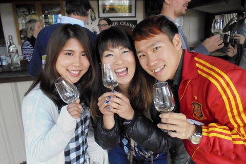 Wine Tasting Day Trip And Swan Valley River Cruise To Perth - Accommodation Noosa 3