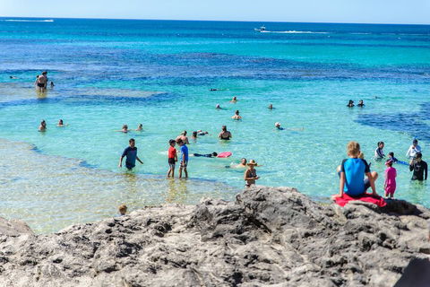 Rottnest Island Roundtrip Fast Ferry From Hillarys Boat Harbour - Accommodation Noosa 1