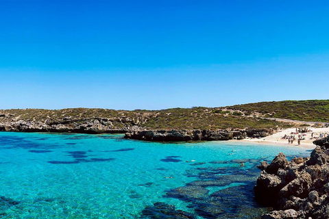 Rottnest Island Roundtrip Fast Ferry From Hillarys Boat Harbour - Accommodation Noosa 4