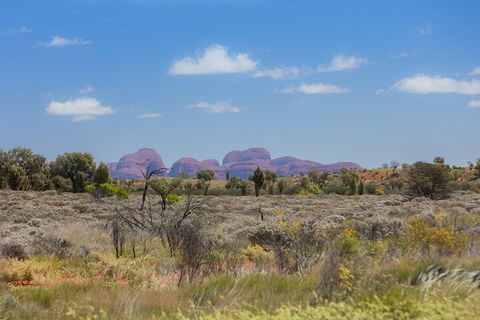 Overnight Uluru (Ayers Rock) Small-Group Camping Tour - Accommodation Noosa 0