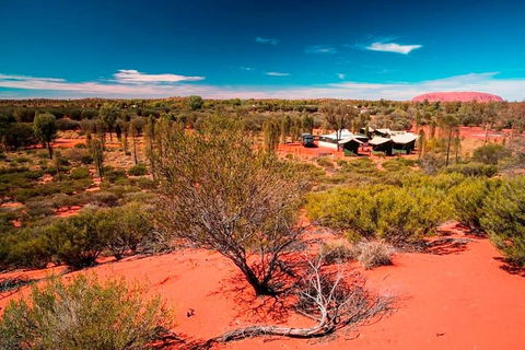 Overnight Uluru (Ayers Rock) Small-Group Camping Tour - Accommodation Noosa 2