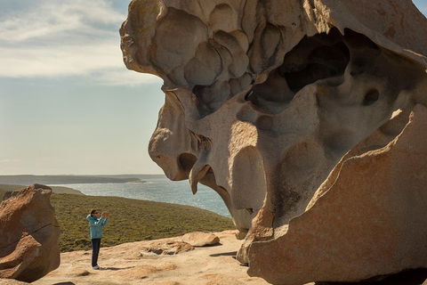 Kangaroo Island In A Day Tour From Adelaide - Accommodation Noosa 5