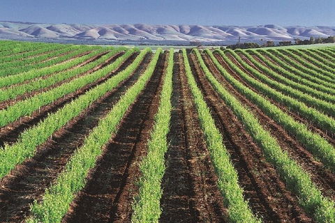 Small Group McLaren Vale And The Cube Experience - Accommodation Noosa 4