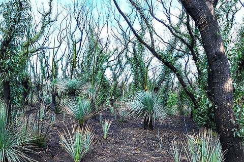 NEW TOUR - Kangaroo Island Road To Recovery Tour (1 Day/1 Night) - Accommodation Noosa 3