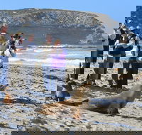 Full day Seal Bay Experience departing from Kangaroo Island - Accommodation Noosa