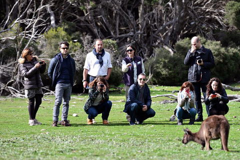 Small-Group Kangaroo Island 4WD Tour From Adelaide - Accommodation Noosa 2