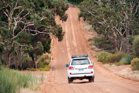 Small-Group Kangaroo Island 4WD Tour From Adelaide - Accommodation Noosa 3