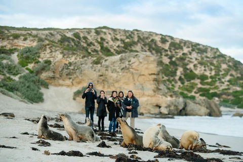 Small-Group Kangaroo Island 4WD Tour From Adelaide - Accommodation Noosa 4