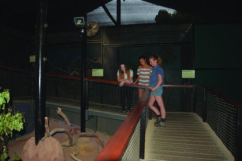 Kuranda Koala Gardens General Entry Ticket - Accommodation Noosa 2