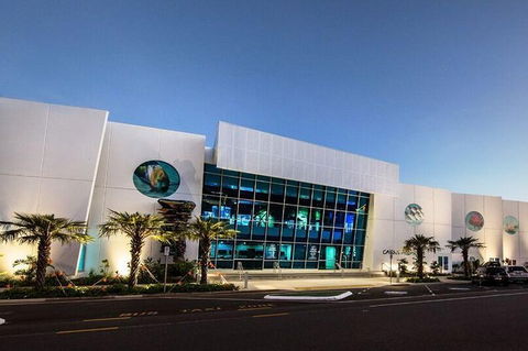 Cairns Aquarium Admission Ticket - Accommodation Noosa 4