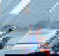 Lunch Buffet Cruise on the Gold Coast - Accommodation Noosa