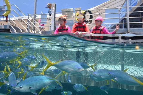 Outer Reef Pontoon Experience From Cairns - Accommodation Noosa 0