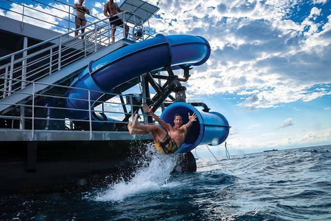 Outer Reef Pontoon Experience From Cairns - Accommodation Noosa 3