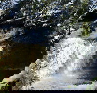 Cradle Mountain Day Tour from Launceston Including Lunch - Accommodation Noosa