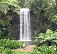 Private Daintree and Cape Tribulation Tour from Port Douglas - Accommodation Noosa