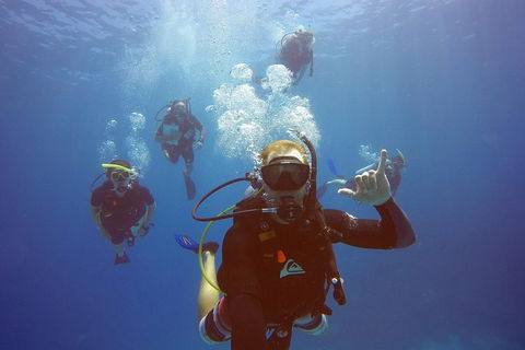 12-Day Great Barrier Reef Marine Conservation Program From Cairns - Accommodation Noosa 0