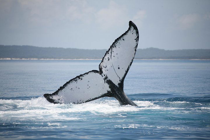  Accommodation Noosa
