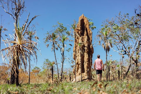 Litchfield National Park Waterfalls And Wildlife Tour From Darwin - Accommodation Noosa 4