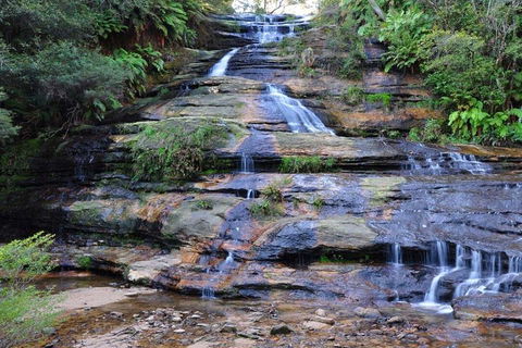 Blue Mountains Day Trip From Sydney With Amazing Lookouts (Private Tour) - Accommodation Noosa 4