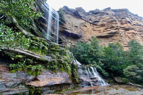 Blue Mountains Sunset Tour | Kangaroos & Koala Encounter (Private Tour) - Accommodation Noosa 2