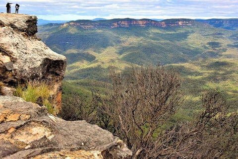 Blue Mountains Sunset Tour | Kangaroos & Koala Encounter (Private Tour) - Accommodation Noosa 4