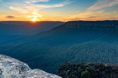 Blue Mountains Sunset Tour | Kangaroos & Koala Encounter (Private Tour) - Accommodation Noosa 5