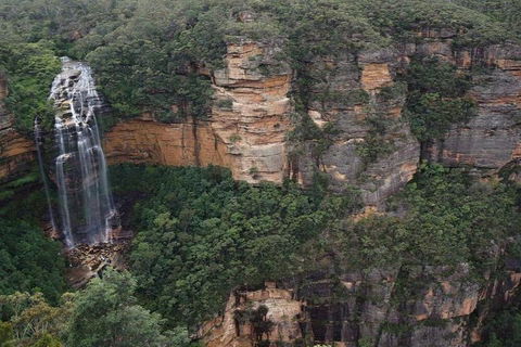Blue Mountains Private Tour With Kangaroos & Koala Encounter - Accommodation Noosa 2