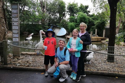 Blue Mountains Private Tour With Kangaroos & Koala Encounter - Accommodation Noosa 4