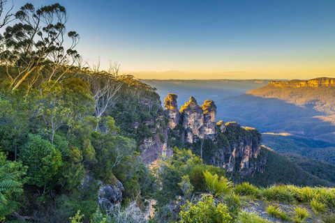 Blue Mountains Private Tour With Kangaroos & Koala Encounter - Accommodation Noosa 5