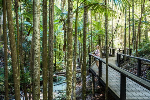 All-Inclusive Fraser Island Day Tour - Accommodation Noosa 5