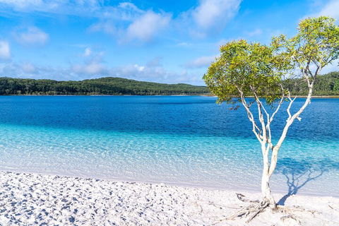 Lake McKenzie Full-Day Tour With Lunch From Hervey Bay - Accommodation Noosa 1