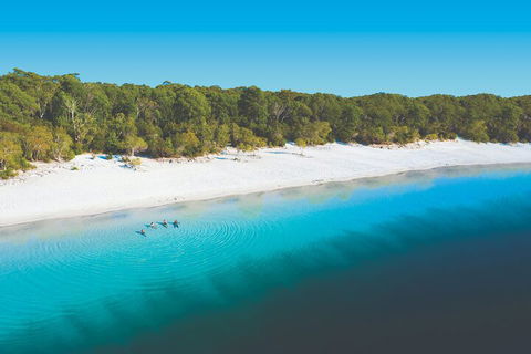 Lake McKenzie Full-Day Tour With Lunch From Hervey Bay - Accommodation Noosa 4
