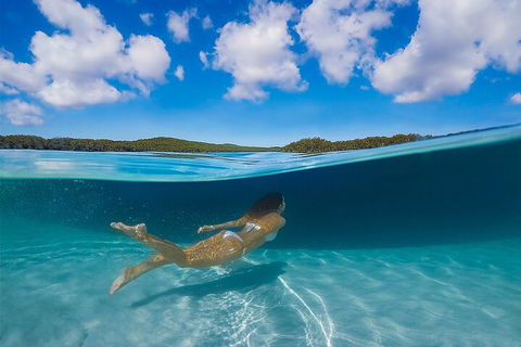 Lake McKenzie Full-Day Tour With Lunch From Hervey Bay - Accommodation Noosa 5