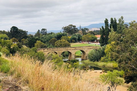 Day Tour In Mt. Field, Mt. Wellington, Bonorong Wildlife Sanctuary And Richmond - Accommodation Noosa 3