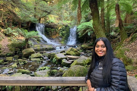 Day Tour In Mt. Field, Mt. Wellington, Bonorong Wildlife Sanctuary And Richmond - Accommodation Noosa 5