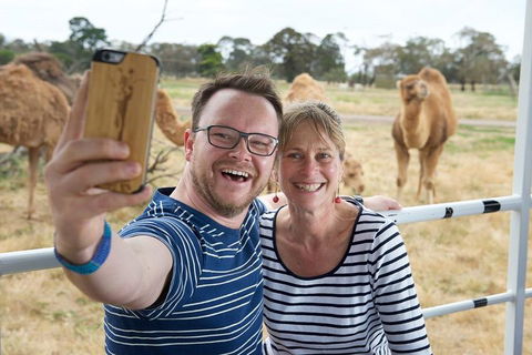 Off-Road Safari At Werribee Open Range Zoo - Accommodation Noosa 1
