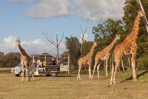 Off-Road Safari At Werribee Open Range Zoo - Accommodation Noosa 3