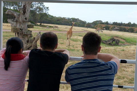 Off-Road Safari At Werribee Open Range Zoo - Accommodation Noosa 4