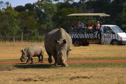 Off-Road Safari At Werribee Open Range Zoo - Accommodation Noosa 5