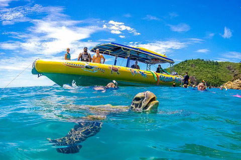 Great Barrier Reef Scenic Flight And Ocean Rafting Whitehaven Beach Day Trip - Accommodation Noosa 1