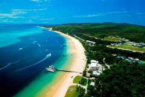 Tangalooma Island Resort Whale Watching Day Cruise - Accommodation Noosa 2