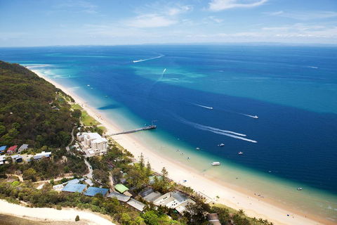 Tangalooma Island Resort Whale Watching Day Cruise - Accommodation Noosa 3