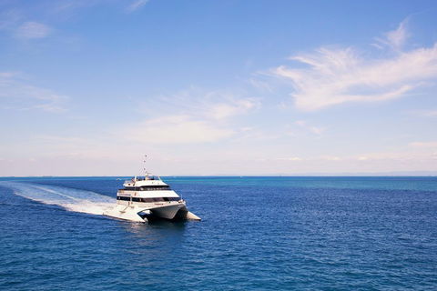 Tangalooma Island Resort Whale Watching Day Cruise - Accommodation Noosa 5