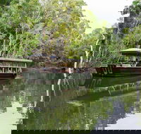 Hartley's Crocodile Adventures Breakfast with the Koalas - Accommodation Noosa