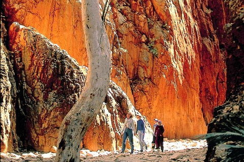 West MacDonnell Ranges Day Trip From Alice Springs - Accommodation Noosa 3