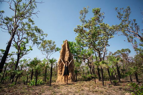 Litchfield National Park - Top End Day Tour From Darwin - Accommodation Noosa 5