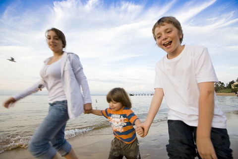 Phillip Island Penguin And Koala Highlights Day-Trip From Melbourne - Accommodation Noosa 0