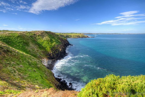 Phillip Island Penguin And Koala Highlights Day-Trip From Melbourne - Accommodation Noosa 5