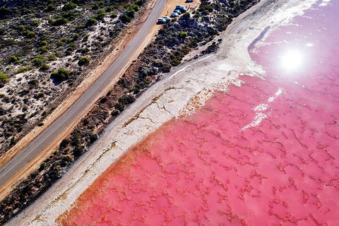 7-Day Exmouth Explorer Via Pinnacles Monkey Mia Ningaloo Reef Returning To Perth - Accommodation Noosa 0